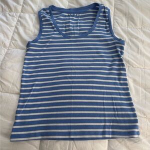 Blue and White Striped Tank Top LOFT